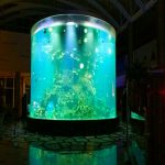 Xina costum barat magnífics superproductes de vidre vermell d'aquaris, tancs de peixos acrílics de cilindres clars
