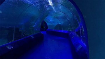 Panells acrílics de 180 o 90 graus per al túnel de l'aquari