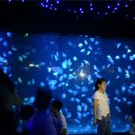 Copa de tancs aquàrics de medusa acrílica 2018