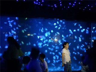 Copa de tancs aquàrics de medusa acrílica 2018