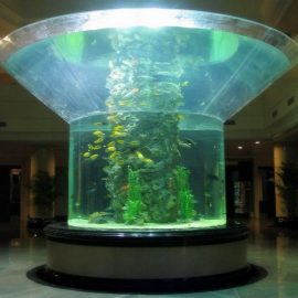 pmma aquari de vidre tanc de peix clar de mitja cilindre
