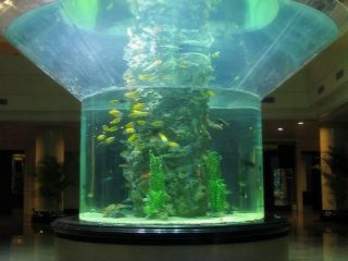 pmma aquari de vidre tanc de peix clar de mitja cilindre