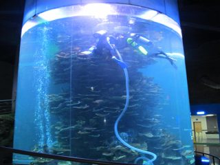 cilindre acrílic transparent gran tanc de peixos per a aquaris o parc marí