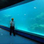 Panell acrílic de paret fosca per a l'aquari, oceanàrium