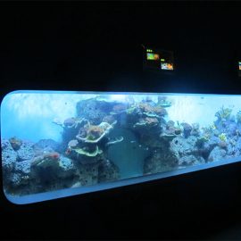 Acrílic cilíndric acrílic transparent Aquari de peix transparent / finestra de visualització