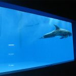 alta qualitat Gran aquari acrílic / finestra de la piscina finestreta gruixuda sota l'aigua