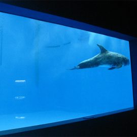 alta qualitat Gran aquari acrílic / finestra de la piscina finestreta gruixuda sota l'aigua