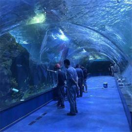 Projecte oceanari de túnel acrílic en aquaris públics