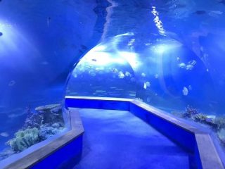 Clear pmma acrylic Túnel de plàstics grans d'aquari