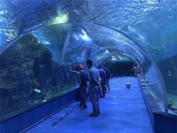 Aquari túnel acrílic de plexiglàs personalitzat