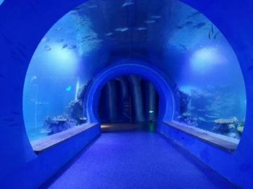 Aquari túnel acrílic de gran talla clara de diferents formes