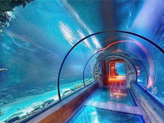 Túnel llarg d'aquari acrílic de disseny modern