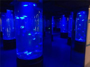 vidre de tanc d'aquari de medusa acrílica