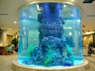 tanc de peix de vidre