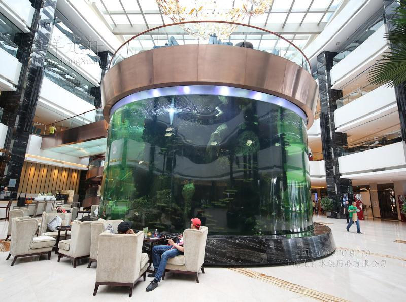 grans tancs d'aquari d'animals de plàstic