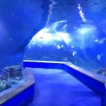 vidre acrílic transparent aquari de túnel